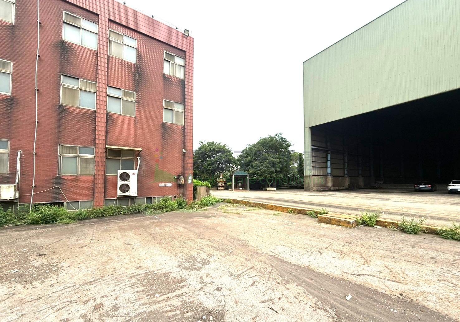 Image 4